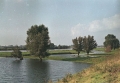 vitezslav-motl-zaliv-se-stromy-a-rekou,-holandsko.jpg