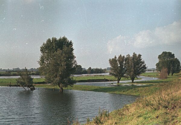 vitezslav-motl-zaliv-se-stromy-a-rekou,-holandsko.jpg