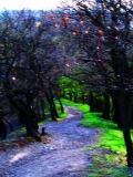 jarmila-kralova-2.jpg