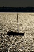 bob-gajdos--02.jpg