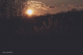filip-radosta-magicalsunsetnature.jpg