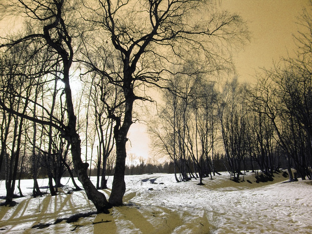 jaroslav-ochec,jachymov---nove-mesto.jpg