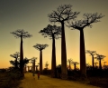 jiri-vecernik-madagaskar-9638.jpg
