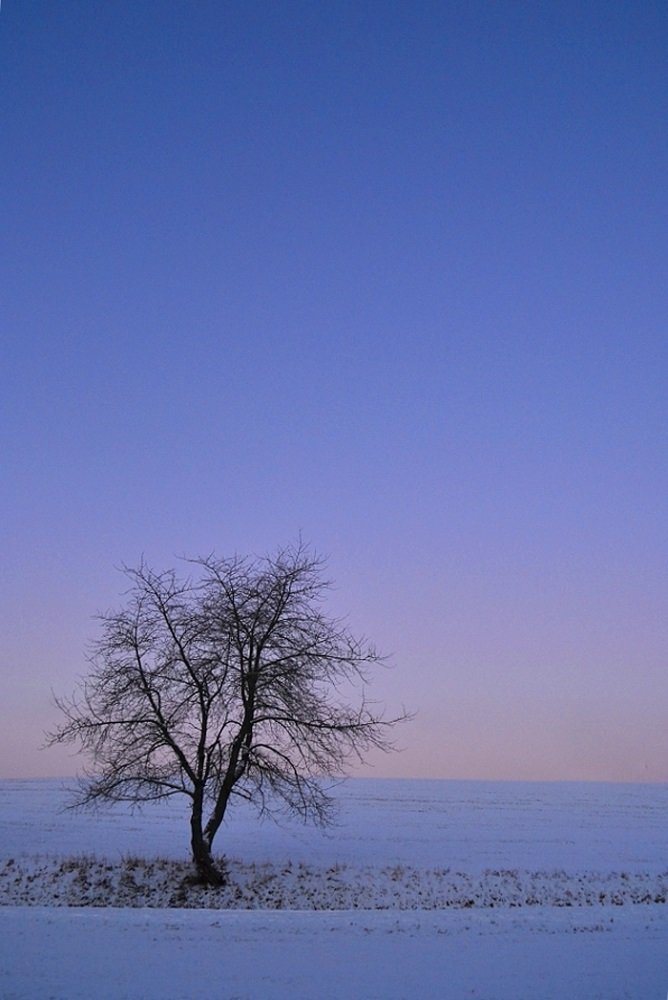 jitka-rosslerova.jpg