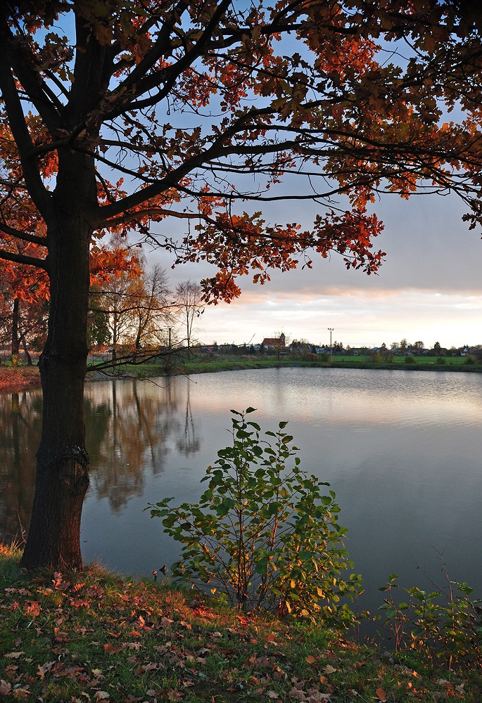 karel-kryl--podvecer-u-rybnika.jpg