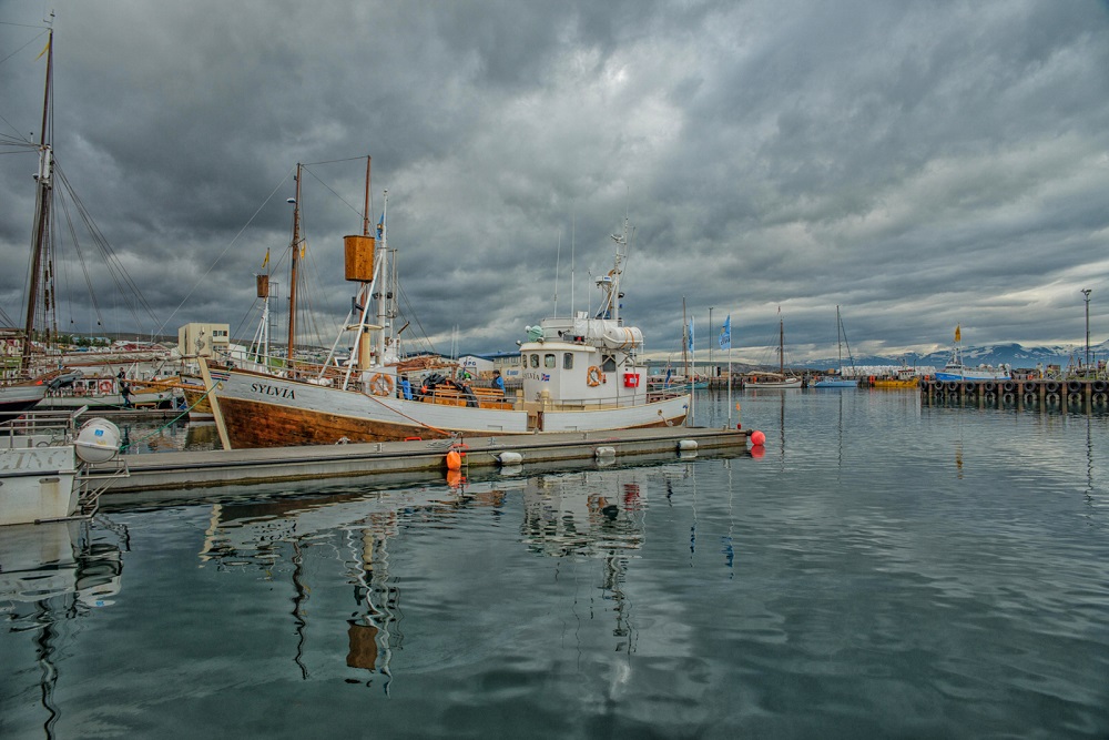 maria-petrikova,-iceland.jpg