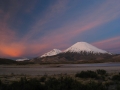 miloslav-zaza---chile.jpg