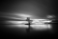 petr-ivanovsky---bodensee,-rheinspitz.jpg
