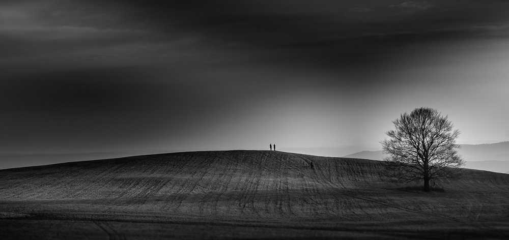 rastislav-gallo--horizont.jpg