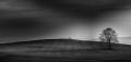 rastislav-gallo--horizont.jpg