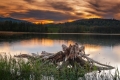 vladimir-koukal-lipno.jpg