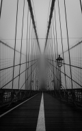 jaromir-jehlicka,-brooklyn-bridge-2.jpg