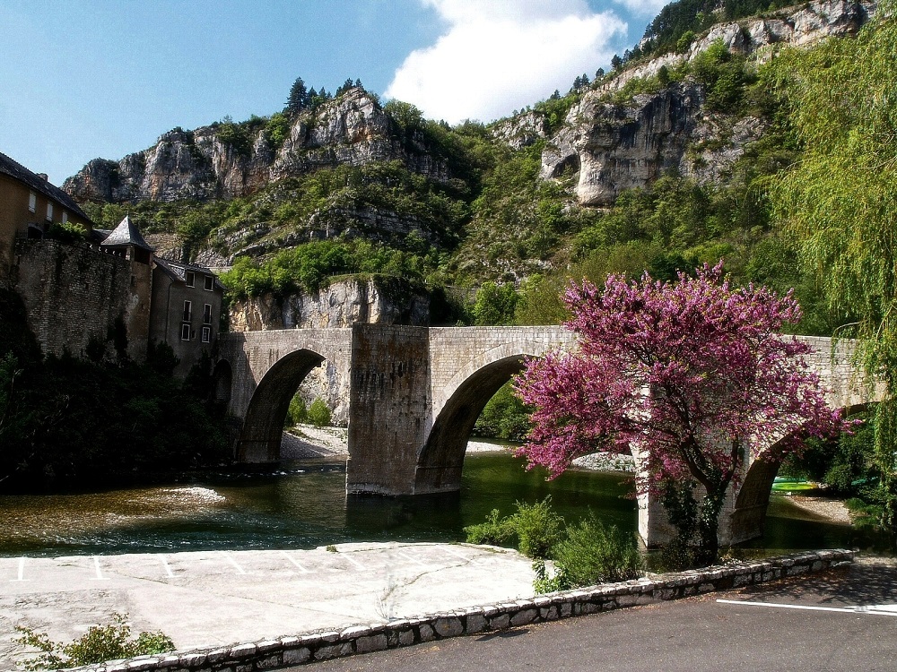 vaclava-ryantova---most-pres-reku-tarn.jpg