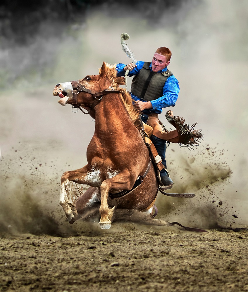 kam-chiu-tam-(canada)----struggling-horse.jpg