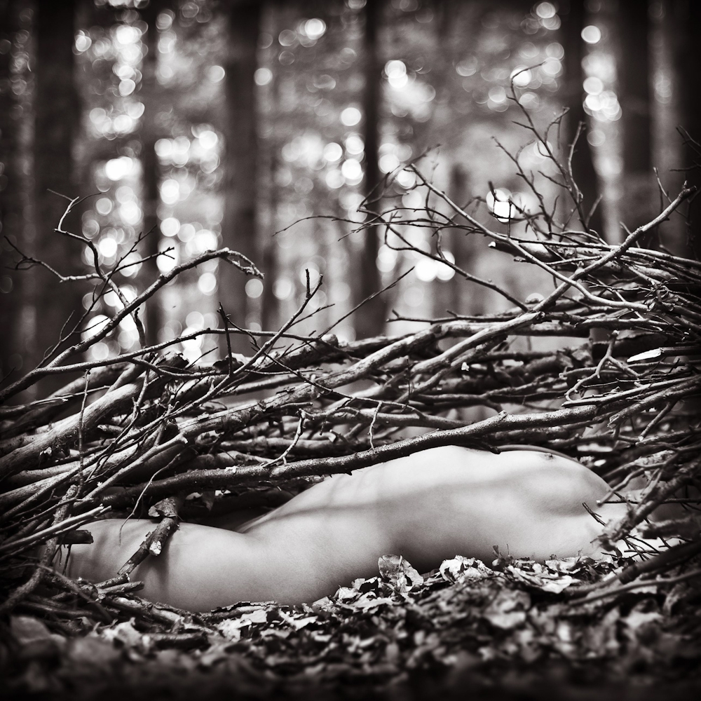 portfolio-005.jpg