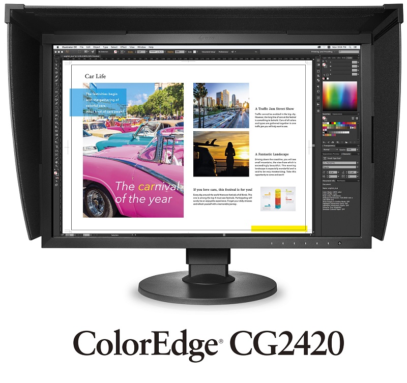 CG2420