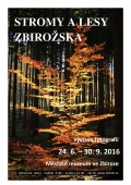 Stromy a lesy Zbirožska 