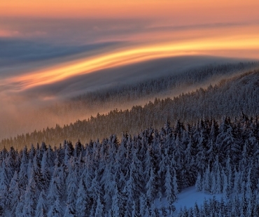 Martin Rak