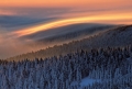 Martin Rak