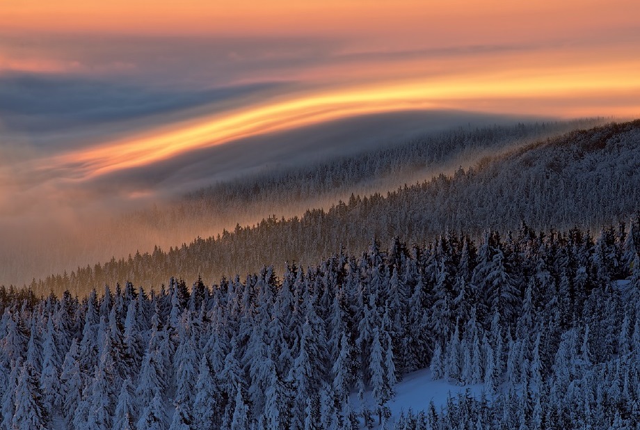 Martin Rak