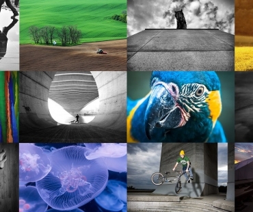 17.Fotograf roku