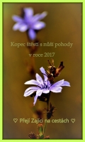 ales-zajicek.jpg
