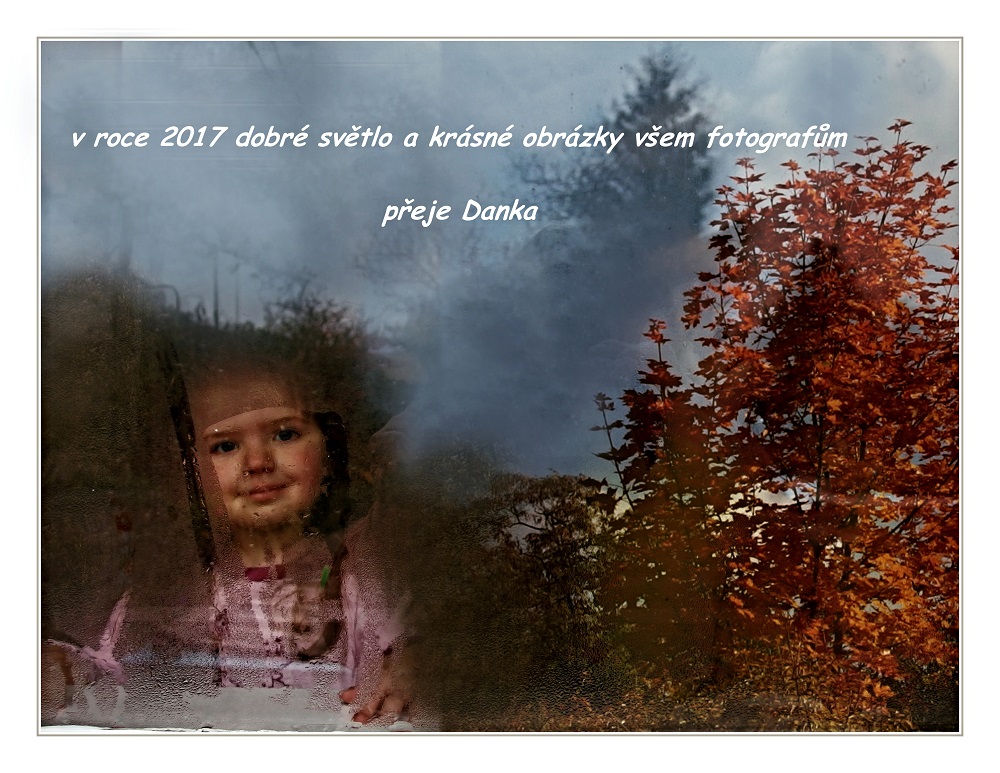 dana-klimesova-1.jpg