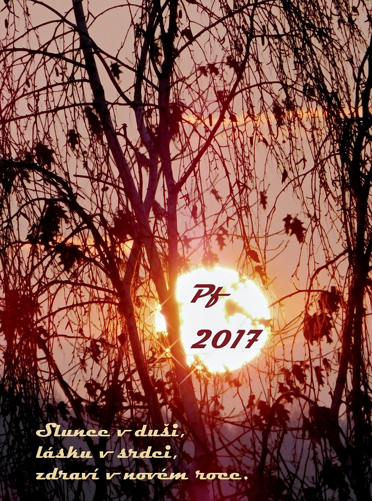 jan-horak---peefka-2017.jpg