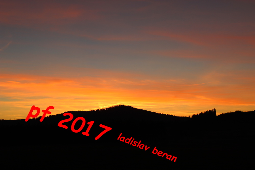 ladislav-beran-2.jpg