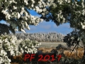petr-pelech.jpg