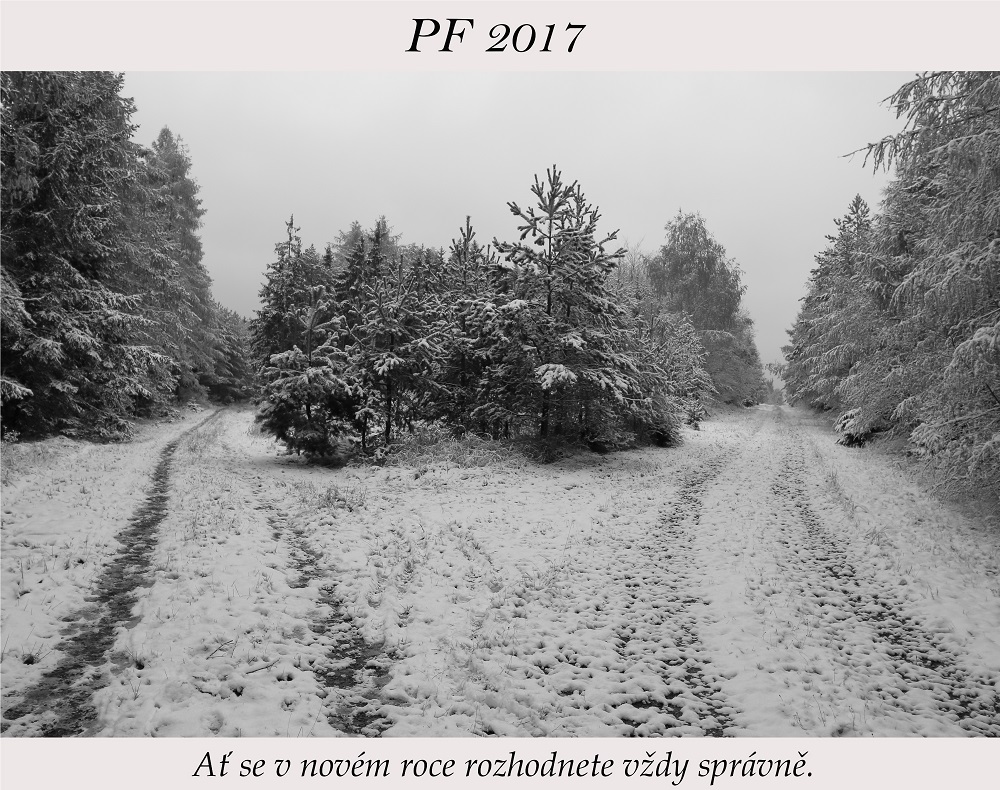 vlasta-stochlova--(2).jpg