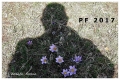 zdenek-svehla--(2).jpg