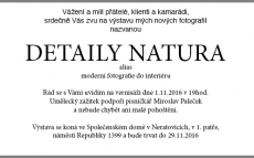 DETAILY NATURA