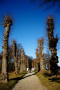 ales-jakubec--(1).jpg