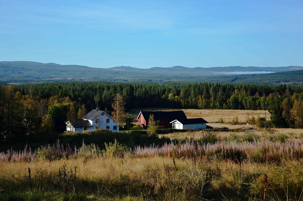 ales-jakubec--(2).jpg
