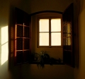 jan-horak---listopadove-rano.jpg