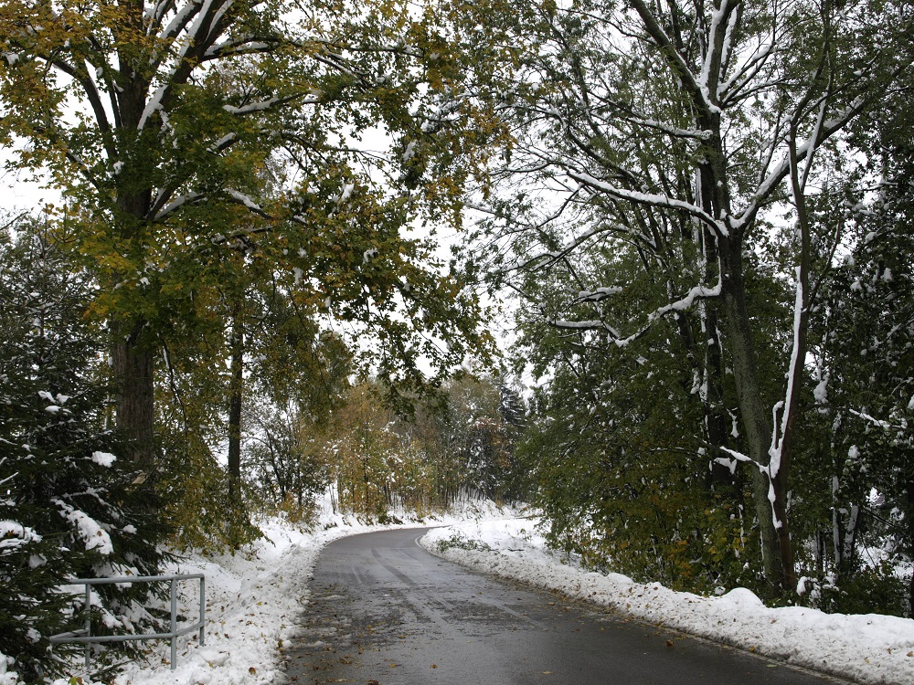 jaroslav-semotan--(2).jpg