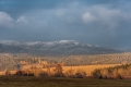 jaroslav-winter-1.jpg