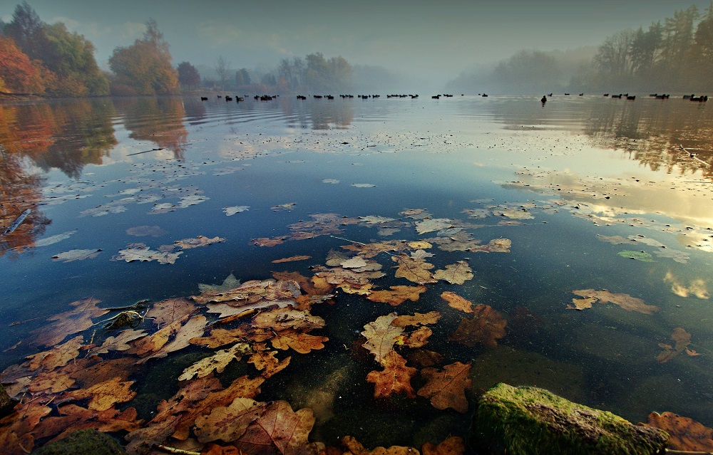 jiri-albrecht-mlhave-rano.jpg