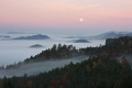 jiri-hakauf-1.jpg