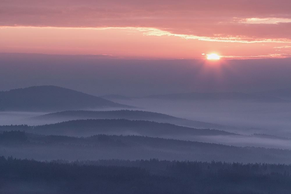 jiri-hakauf-2.jpg
