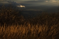 jiri-kolena-1.jpg