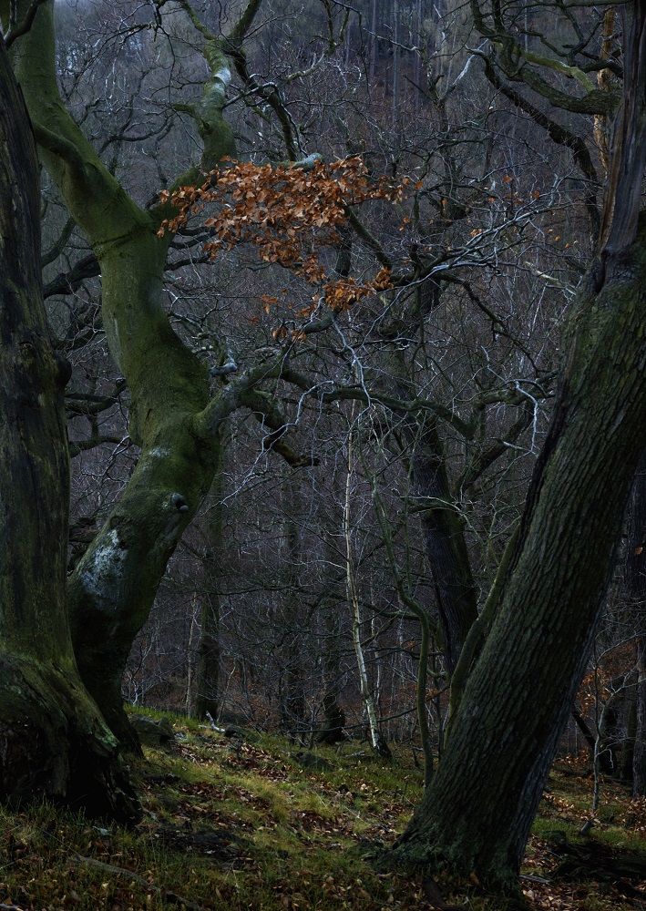 jiri-kolena-2.jpg