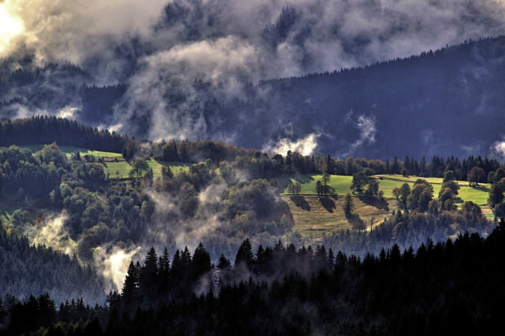 josef-pavlin--(3).jpg