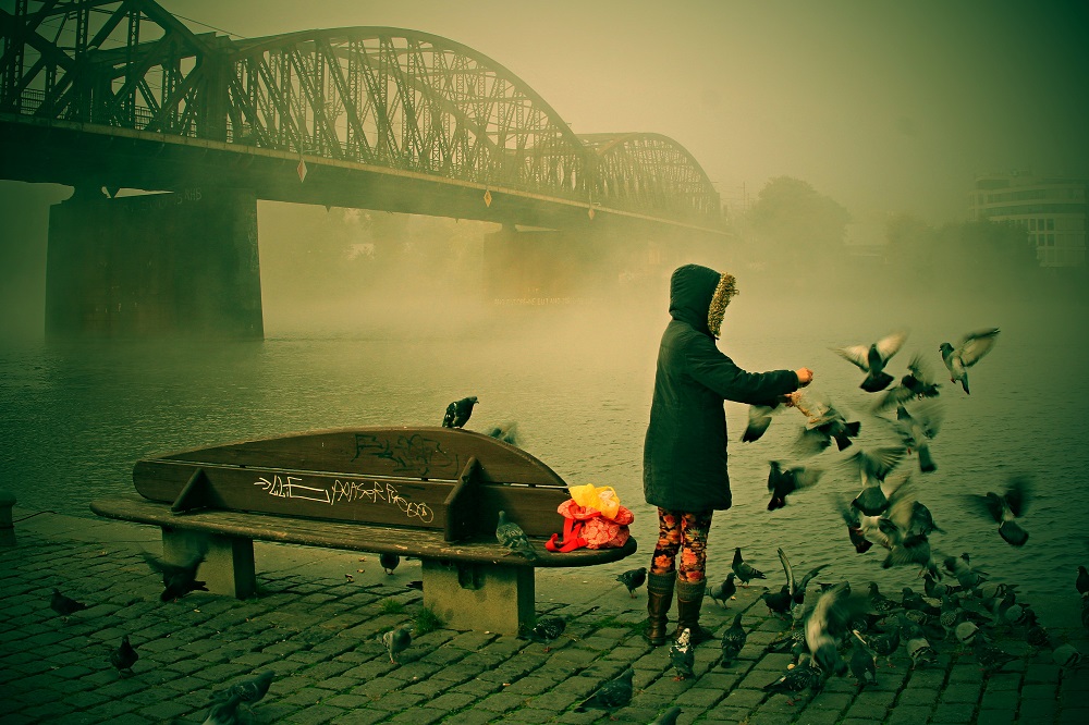 nguyen-viet-phuong-bird.jpg