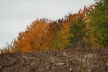 oldrich-vosyka-1.jpg