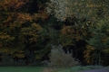 oldrich-vosyka-2.jpg