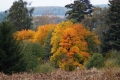 oldrich-vosyka-3.jpg