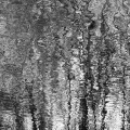 david-havelik-toccata--ii.jpg