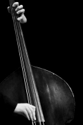 david-klimek-jazzovka.jpg